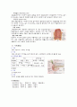 위장관계의 구조와 기능 6페이지