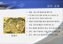[한국의역사와문화]조선의 궁궐에 대하여 2페이지