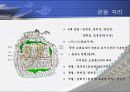 [한국의역사와문화]조선의 궁궐에 대하여 4페이지