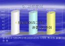 첼시와 삼성전자의 스폰서쉽 13페이지