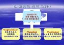 첼시와 삼성전자의 스폰서쉽 22페이지