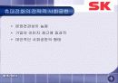 SK의 사회공헌활동과 시사점 32페이지