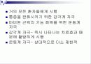 기능적 전기자극(FES) 4페이지