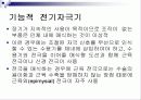 기능적 전기자극(FES) 17페이지