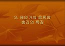 송악산에 대하여 11페이지