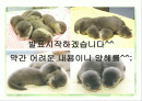 제조물 책임 배상 보험 2페이지