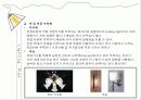 실내디자인(Interior) 조명 실무 조사 11페이지