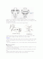 피하주사와 흡인(suction) 2페이지