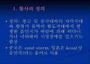 황사 (yellow sand) 3페이지