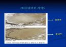 황사 (yellow sand) 7페이지