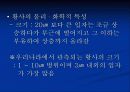 황사 (yellow sand) 12페이지