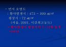 황사 (yellow sand) 14페이지