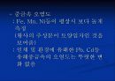 황사 (yellow sand) 15페이지