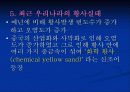 황사 (yellow sand) 17페이지