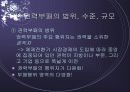 (중국의 사회 분석) 중국의 권력부패의 원인과 실태 및 당국의 대응책 분석 20페이지
