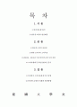 소비문화론-인터넷소비 1페이지