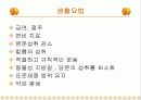 고혈압(hypertension) PPT 발표자료  11페이지