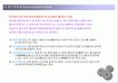 태양전지에관하여 9페이지