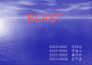 basic local alignment search tool 1페이지