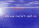 basic local alignment search tool 2페이지
