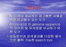 basic local alignment search tool 3페이지