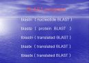 basic local alignment search tool 4페이지