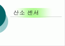 산소 센서 1페이지