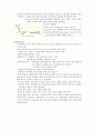 한센병(Leprosy)에 대하여 15페이지