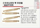 포장디자인 13페이지