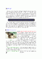 사진기 렌즈에 관한 조사 분석 4페이지