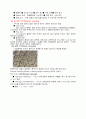 환경기계 6페이지