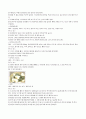 추석음식조사 9페이지
