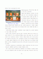 유럽체험여행 보고서 87페이지