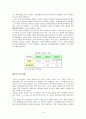 해외 음주문화분석과 (주)진로 소주의 해외시장 진출전략 14페이지