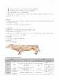 수육류, 어패류, 알류, 유류 및 유제품, 채소류, 과일류 5페이지