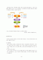 비만측정법과 판정기준 & 올바른 처치방법 6페이지