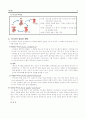여드름의 이해 5페이지