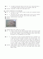안전표지판의 종류 및 관련법규 등 해당 사례 11페이지