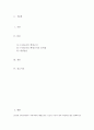 행정조직 문제점 개선 방안 2페이지