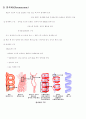 세포분열(cell division) 2페이지