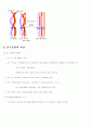 세포분열(cell division) 5페이지
