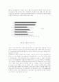 한국어와 일본어 4페이지