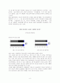 한국어와 일본어 6페이지