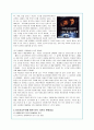 외모지상주의의 원인과 실태 및 문제점 분석을 통한 대안(A+레포트) 17페이지