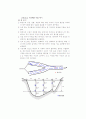 환경오염 공정시험법(수질) 10페이지