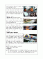 세계유명관광지 사례발표-나이아가라폭포 6페이지