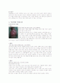 아동학대의 현황과 국내-외 사례, 문제점 및 해결방안(아동복지) 9페이지