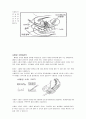 인공수정 (insemination) 5페이지