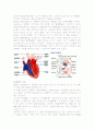 울혈성 심부전 (Congestive Heart Failure) 2페이지