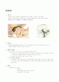 담관암(담낭 gallbladder cancer cholangiocarcinoma)  1페이지